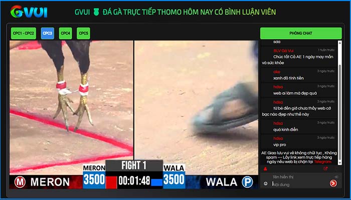 GVUI là nền tảng xem trực tiếp đá gà Thomo hàng đầu Việt Nam GVUI là nền tảng xem trực tiếp đá gà Thomo hàng đầu Việt Nam