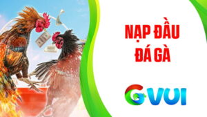 Khuyến mãi Nạp Đầu Đá Gà GVUI