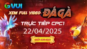 Xem full video đá gà trực tiếp CPC1 ngày 22-04-2025