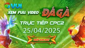 Xem full video đá gà trực tiếp CPC2 ngày 25-04-2025