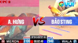 Anh Hưng vs anh Bảo Sting 09-05-2025