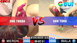 Tran 15 CPC1 19 5 2025 Ga Xanh Anh Tung Dam 30 Giay Do Oi Mau