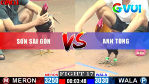 Tran 18 CPC1 19 5 2025 Do Hon 2 Cham Bi Xanh Anh Tung Dam Nhu Cai Ro