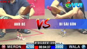 Tran 19 CPC1 20 5 2025 Dieu Anh Be Hon 3 Cham Bi Dam 3 Cua Bo Chay