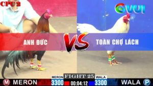 Tran 25 CPC2 18 5 2025