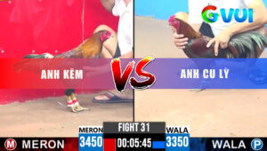 Tran 31 CPC3 18 5 2025 Ga Do Anh Kem Dam Doi Thu Oi Mau