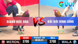 Tran 39 CPC3 18 5 2025 Ga Khet Boi Boi Nap Dieu Dinh Tang Hu Hinh Te