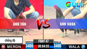 Tran 47 CPC3 18 5 2025 Do Chong Do Da 3 Chan Doi Thu Troi Chet 1