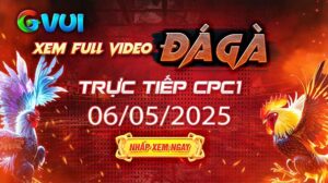 Xem full video đá gà trực tiếp CPC1 ngày 06-05-2025