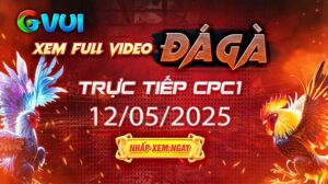 Xem full video đá gà trực tiếp CPC1 ngày 12-05-2025