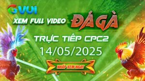 Xem full video đá gà trực tiếp CPC2 ngày 14-05-2025
