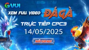 Xem full video đá gà trực tiếp CPC3 ngày 14-05-2025