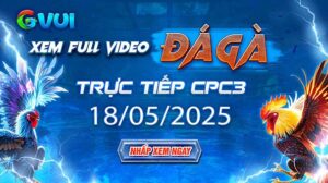 Xem full video đá gà trực tiếp CPC3 ngày 18-05-2025